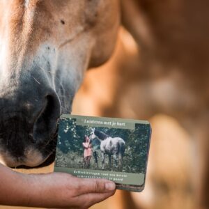 Reflectiekaarten DOWNLOAD